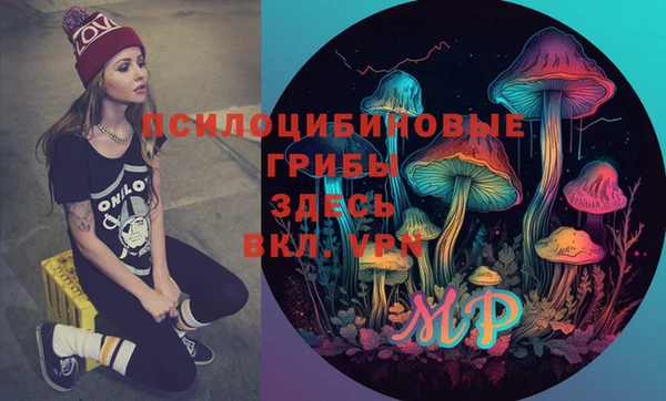 MDMA Гусев