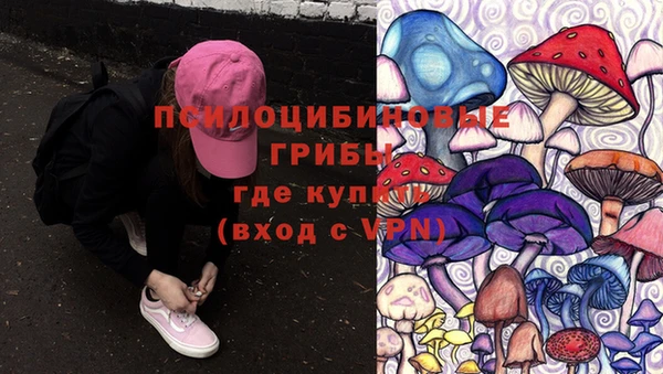 прущий лед Гусь-Хрустальный
