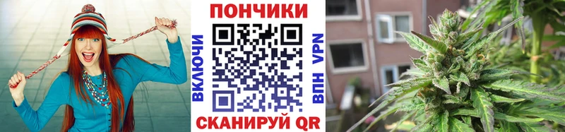 сколько стоит Облучье Канабис MAZAR